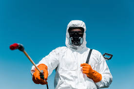 Best Termite Inspection and Treatment  in Lindstrom, MN